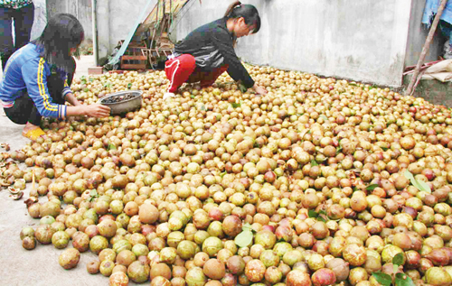 Yên Khoái (Lạng Sơn) xây dựng nông thôn mới ảnh 9